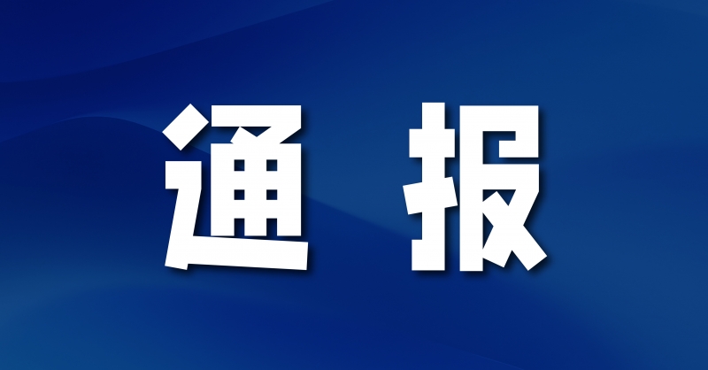 中共青岛黄岛发展（集团）有限公司委员会 关于巡察集中整改进展情况的通报