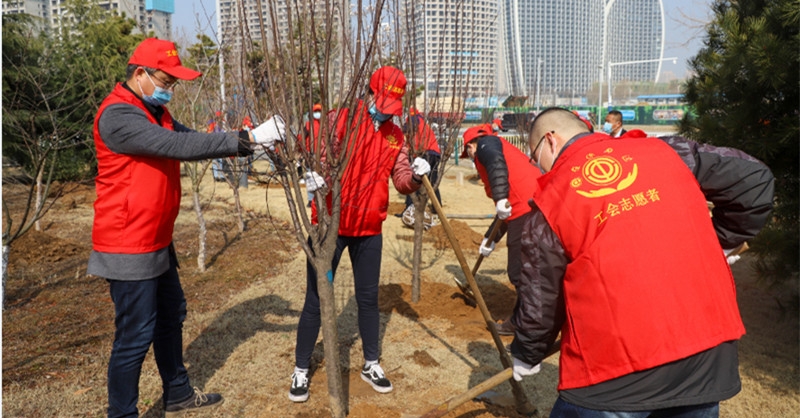 黄发集团开展植树节志愿服务活动